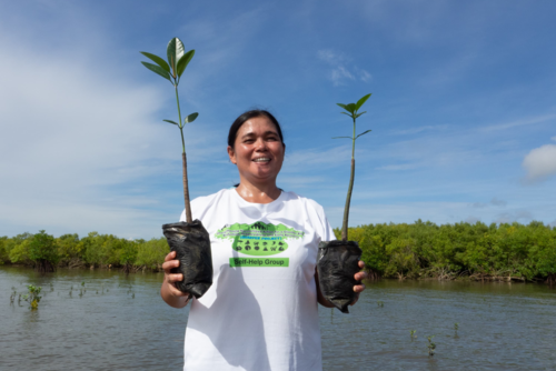 Planting Mangroves, Planting Hopes